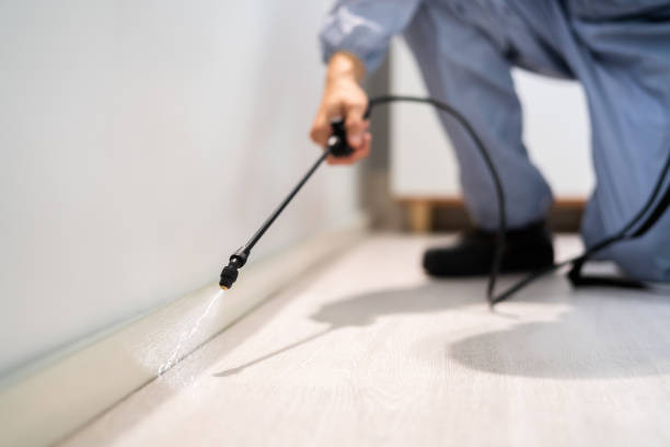 Licensed Termite Control service in Innovation, VA - Nex Pest Control
