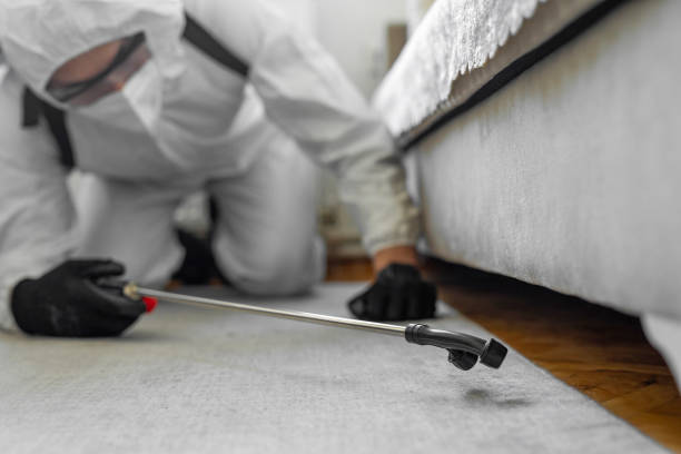 Professional Termite Control technician working in Innovation, VA