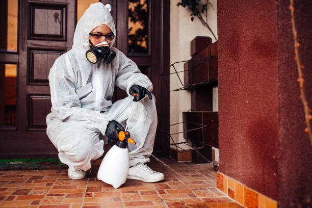Reliable Termite Control contractor in Innovation, VA by Nex Pest Control